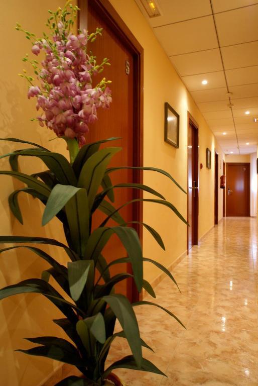Hotel Mont-Roig Exterior foto
